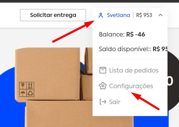 Acesso manual à sua conta e bilhete - documento - borzo delivery